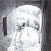 CARLO FABRE • <font color=red> </font> • San Gimignano • 25/06/1994-14/07/1994