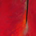 TETSURO SHIMIZU • <font color=red> ALLE FARFALLE PIACCIONO I COLORI</font> • San Gimignano • 26/07/09-16/08/09