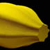 ISOZAKI