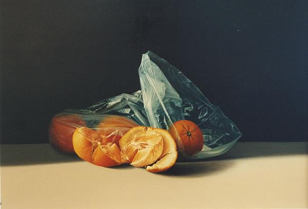 ARANCE  CON  PLASTICA by the artist Michele Taricco