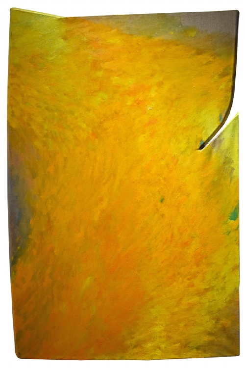 IMMUNITA' giallo di Tetsuro Shimizu IMMUNITA' giallo di Tetsuro Shimizu