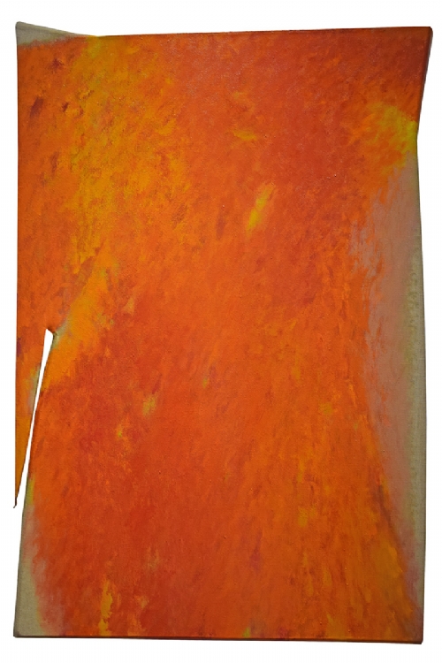 MUTABILITA' arancione di Tetsuro Shimizu MUTABILITA' arancione di Tetsuro Shimizu