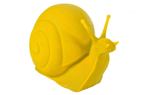 CHIOCCIOLA GIALLA media by Cracking Art Group