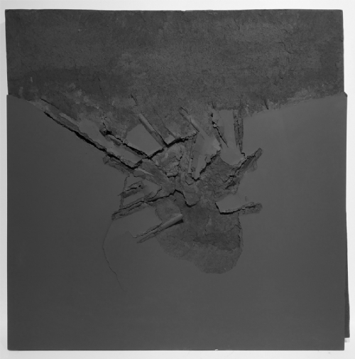 FRATTO NERO by Gabriele Ercoli FRATTO NERO by Gabriele Ercoli