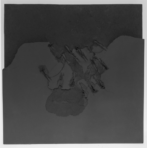 FRATTO NERO by Gabriele Ercoli FRATTO NERO by Gabriele Ercoli