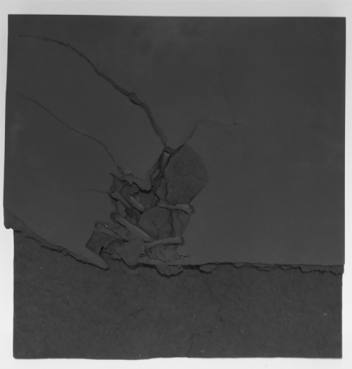 FRATTO NERO by Gabriele Ercoli FRATTO NERO by Gabriele Ercoli