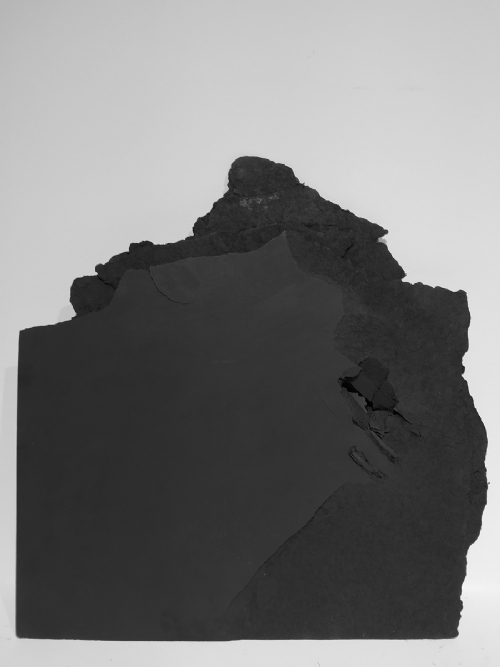 SCHEGGIA by Gabriele Ercoli SCHEGGIA by Gabriele Ercoli