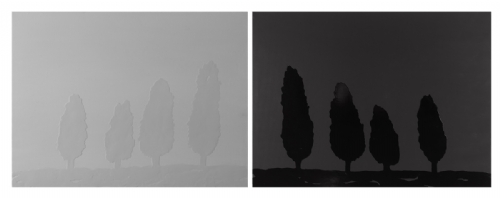 PAESAGGIO TOSCANO di Carlo Pizzichini