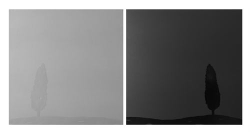 PAESAGGIO TOSCANO di Carlo Pizzichini