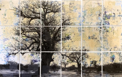 AFRICA di Manuel Felisi