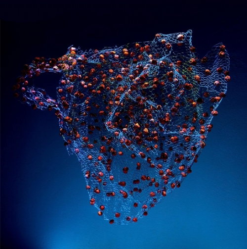 LE VISIONI DI MEDUSA di Giorgio Bevignani