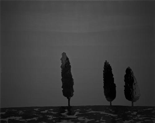 NOTTURNO SENESE 14 di Carlo Pizzichini