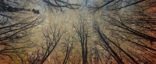 VERTIGINE di Manuel Felisi