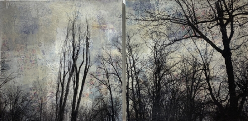 ALBERI by Manuel Felisi ALBERI by Manuel Felisi