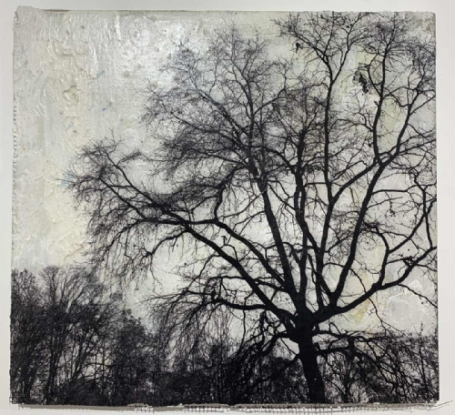 ALBERI by Manuel Felisi ALBERI by Manuel Felisi