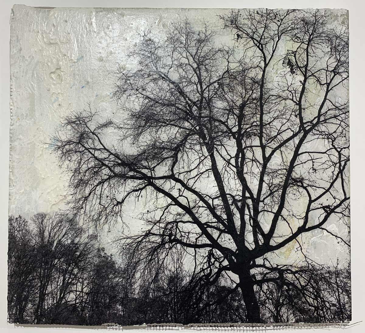 ALBERI by the artist Manuel Felisi