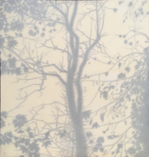 OMBRE by Alberto Rizzi