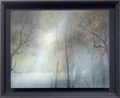 ALBERI di Andrea Giovannini