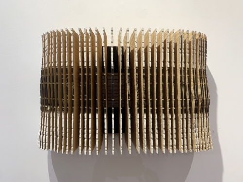 LINE SCULPTURE 94 by Flavio Senoner