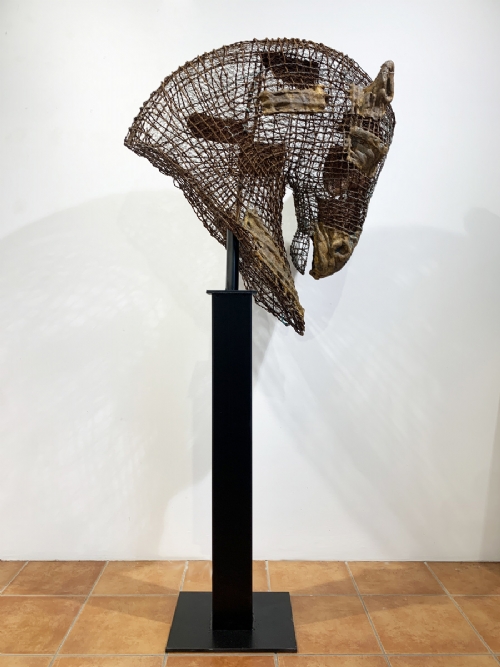 LA BATTAGLIA di Davide Dall'Osso