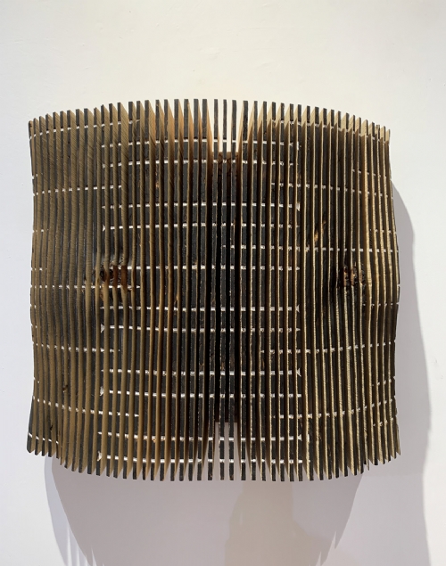 LINE SCULPTURE 99 by Flavio Senoner