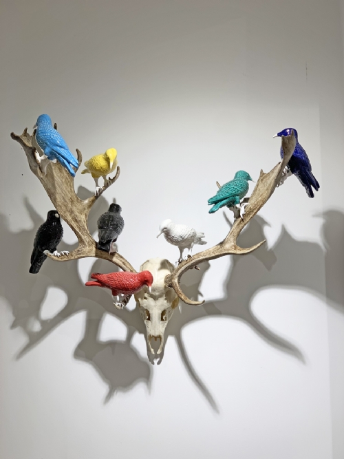 NATURE by Luca Freschi NATURE by Luca Freschi