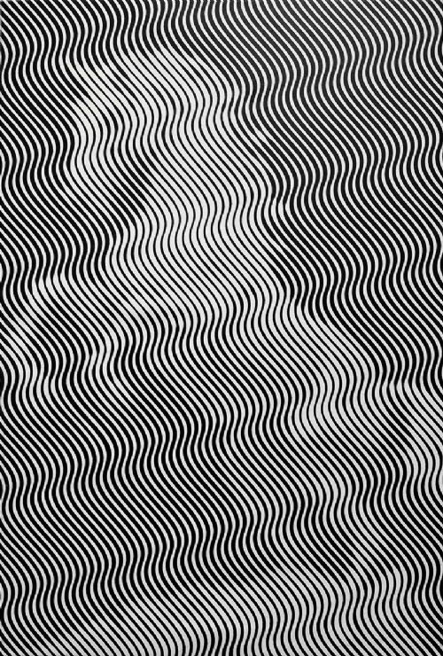 CAVALLO DI LEONARDO di Andrea Crespi