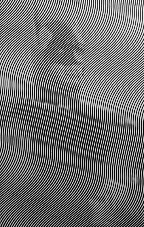 THE BAT di Andrea Crespi