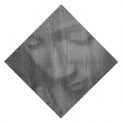 PIETA' CELATA di Andrea Crespi