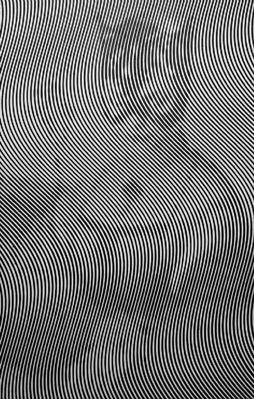 THE CAT di Andrea Crespi