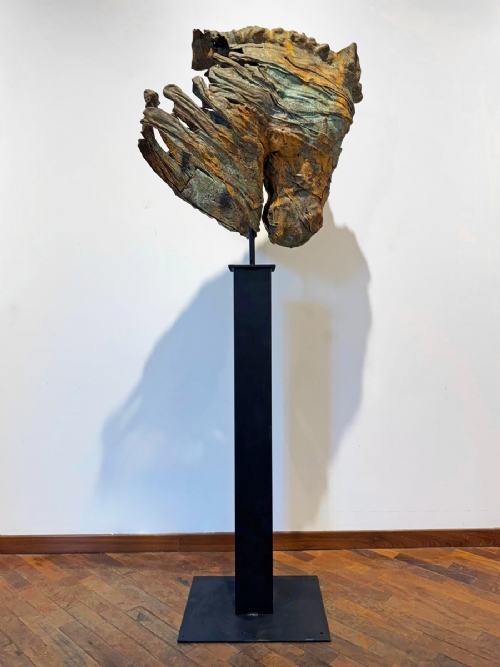 COMPAGNO DI TANTE BATTAGLIE di Davide Dall'Osso