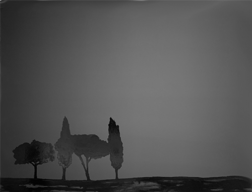 NOTTURNO SENESE di Carlo Pizzichini